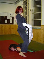 wakige sekito gatame