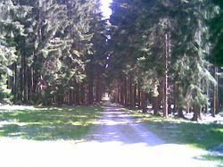 cesta mezi Velko a Malo pa�ezit�m rybn�kem